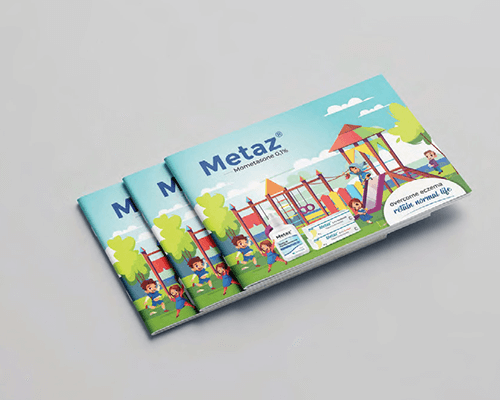 Metaz Brochure